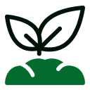 Icon 19 EQ5NUGN - Floricultura Romana