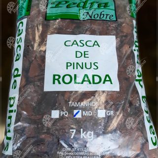 Casca de pinus Romana Capa (4).jpg