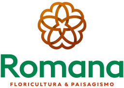 Floricultura Roamana (2)
