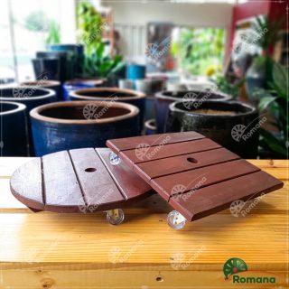 Rodizio Romana (2).jpg